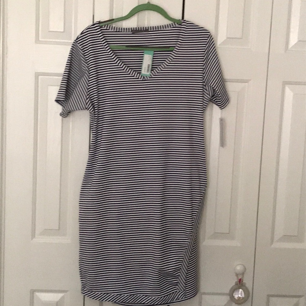 Loveappella by Stitch Fix Sammi Knit Dress